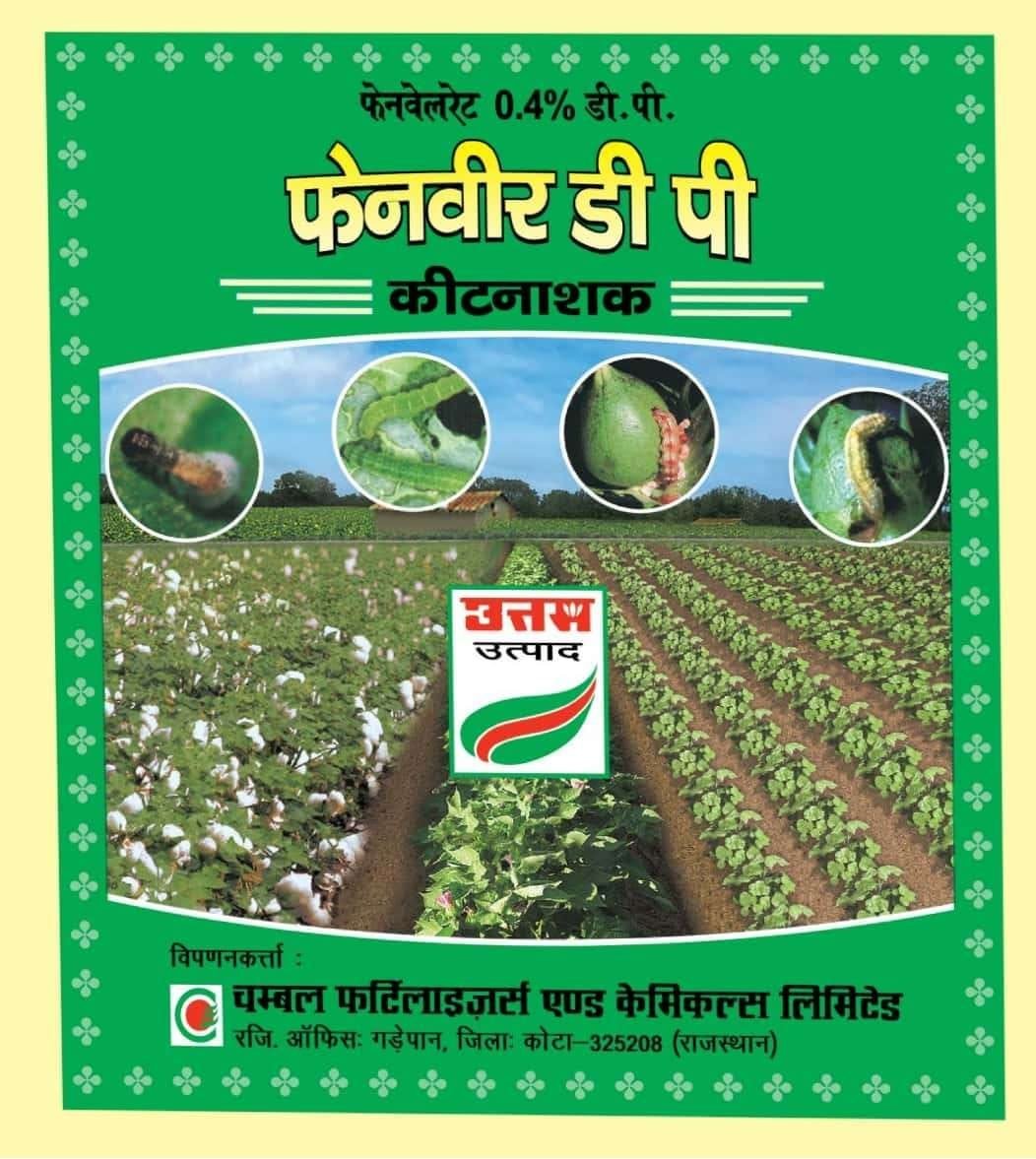 FENVEER DP (INSECTICIDE)