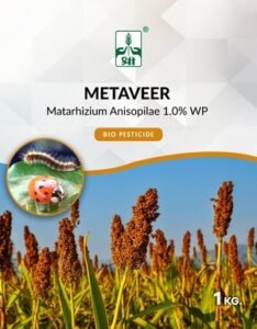Metaveer