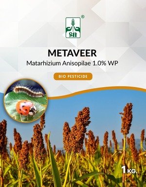 Metaveer