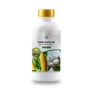 Shree Bacicure