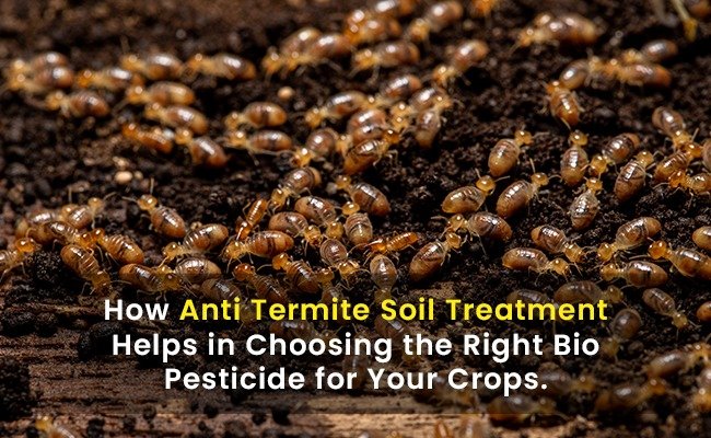 How Anti Termite Soil Treatment Helps in Choosing the Right Bio Pesticide for Your Crops