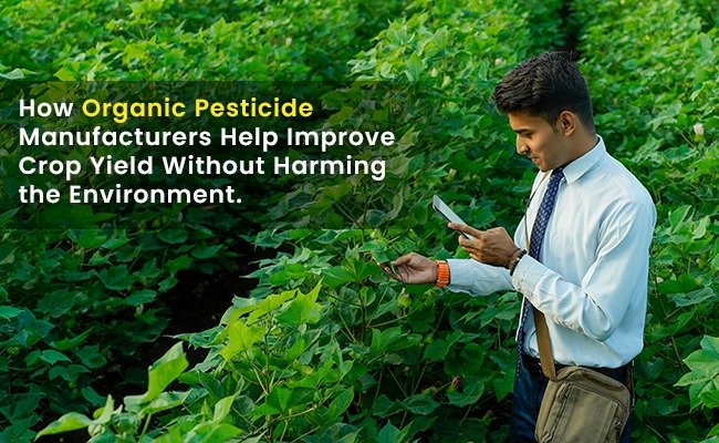 How Anti Termite Soil Treatment Helps in Choosing the Right Bio Pesticide for Your Crops