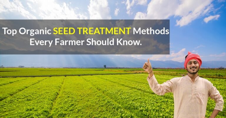 Top Organic Seed Treatment Methods Every Farmer Should Know