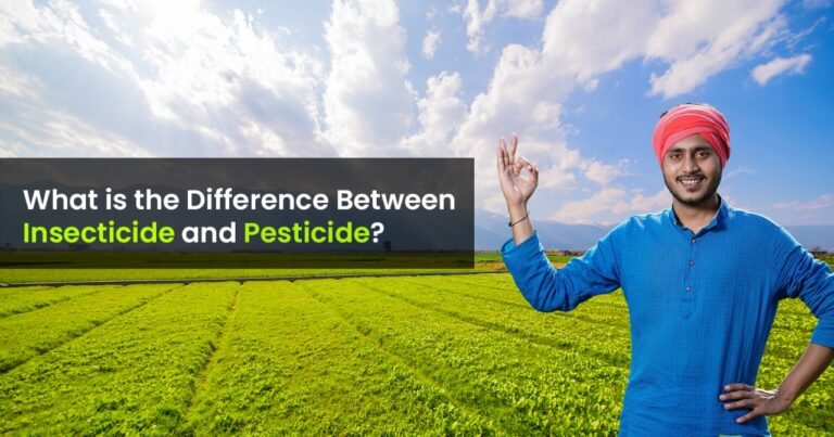 What is the Difference Between Insecticide and Pesticide?