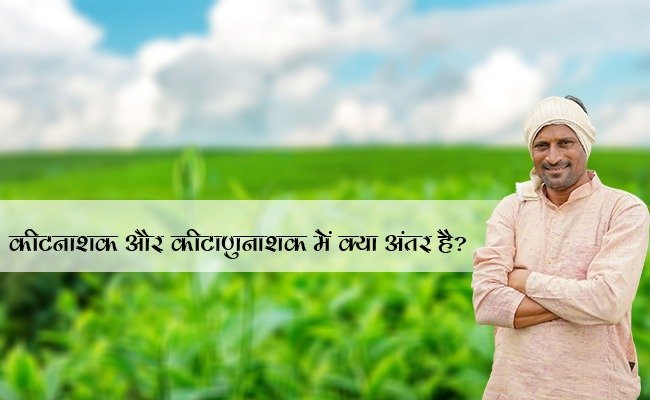 कीटनाशक और कीटाणुनाशक में क्या अंतर है?